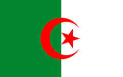 argelia paletizadores marfil