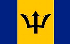 barbados paletizadores marfil