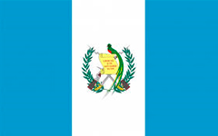 guatemala paletizadores marfil