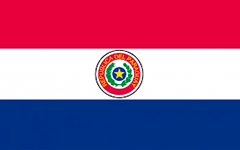 Paraguay paletizadores marfil