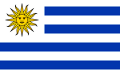 uruguay paletizadores marfil